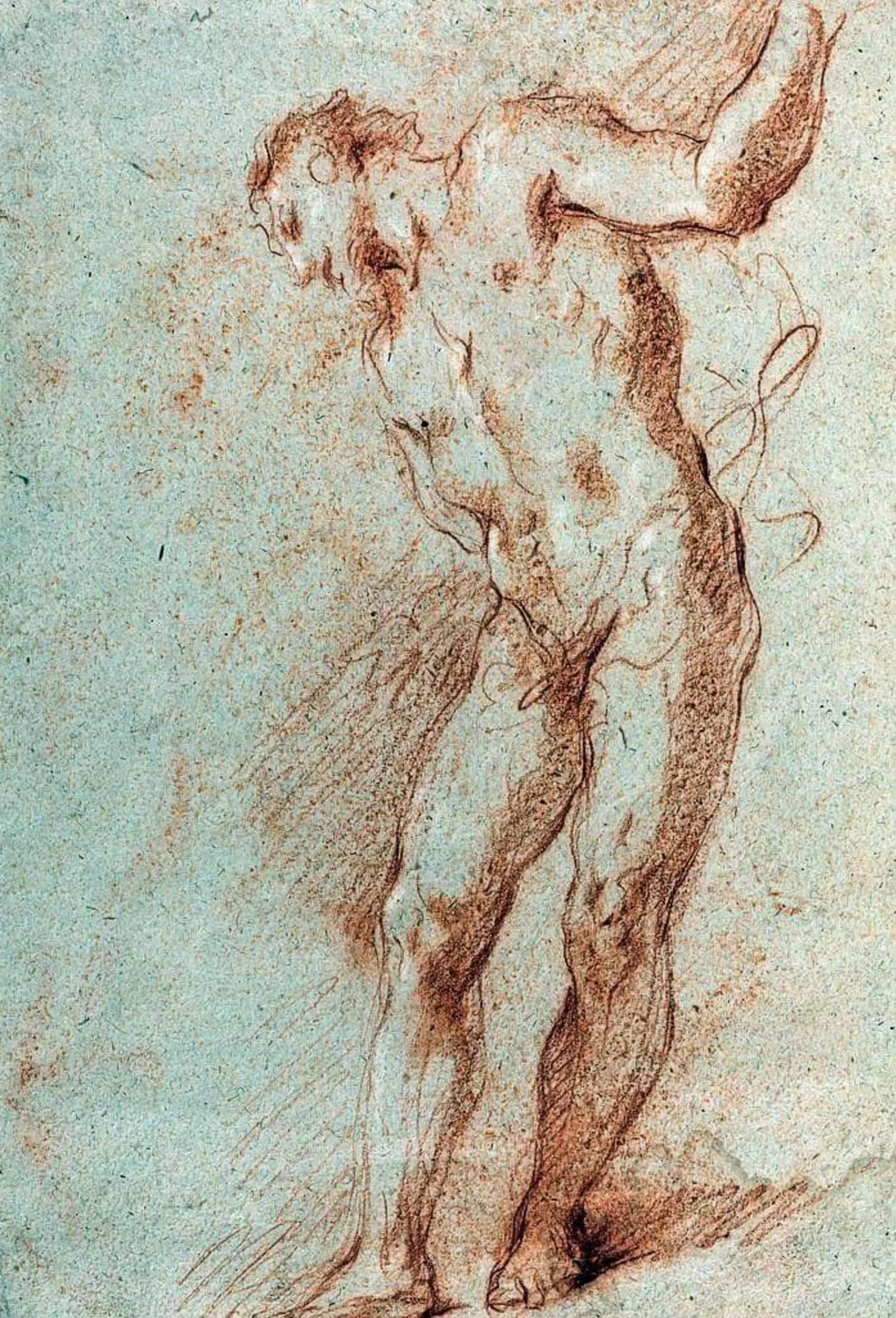 Nudo maschile
